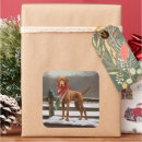 Suche nach vizsla hunde aufkleber Weihnachtsgeschenk für hunde