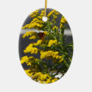 Suche nach gelber schmetterling Blume