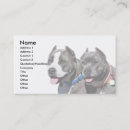 Suche nach grube visitenkarten Apbt