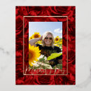 Suche nach rote rosen postkarten Gold