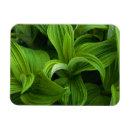 Suche nach tau magnete Tropfen