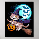 Suche nach scottish fold poster Niedlich