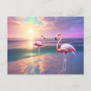 Suche nach rosa flamingos postkarten Ozean