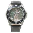 Suche nach wolfdog Wolfshund