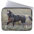 Suche nach wildes pferd laptop schutzhüllen Hengst