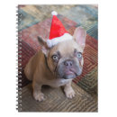 Suche nach niedliches kaninchen kleine notizbücher Tier