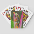 Suche nach frosch spielkarten Amphibisch