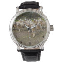 Suche nach lämmer accessoires Landwirtschaft