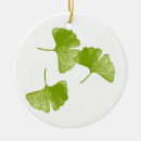 Suche nach ginkgo ornamente Blatt