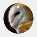 Suche nach wildvogel ornamente Natur