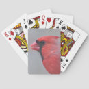 Suche nach kardinäle spielkarten Vogel