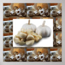 Suche nach knoblauch poster Küche