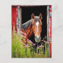 Suche nach rustikale tür postkarten Bauernhof