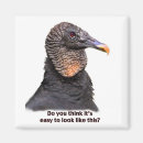 Suche nach geier magnete Natur