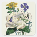 Suche nach vintage botanik aufkleber Floral