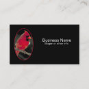 Suche nach roter vogel visitenkarten Vogelvogel