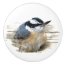 Suche nach vogel knäufe und griffe Natur