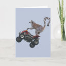 Suche nach lemur karten Primat