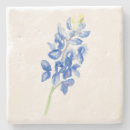 Suche nach lupine untersetzer Wildblume