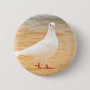 Suche nach niedliche taube buttons Vogel