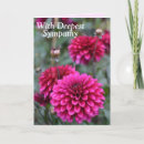 Suche nach rosa dahlien karten Für sie