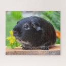 Suche nach nagetiere puzzle Haustier