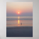 Suche nach seemöwe poster Sonnenaufgang