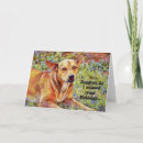 Suche nach it karten Niedlich