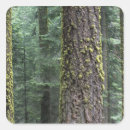 Suche nach der riese aufkleber Baum