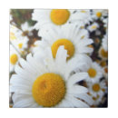 Suche nach gänseblümchen fliesen Sommer