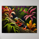 Suche nach tropischer frosch poster Amphibien