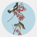 Suche nach vogelkunst aufkleber Vogelaufkleber