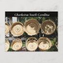 Suche nach charleston sc postkarten Charleston south carolina