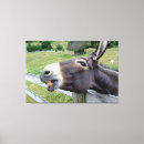 Suche nach lächeln leinwandbilder Natur