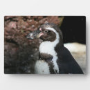 Suche nach pinguine fotoplatten Tier