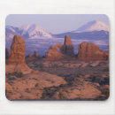 Suche nach jamie mousepads Judy wild