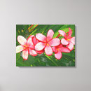 Suche nach frangipani leinwandbilder Weiß
