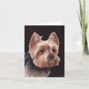 Suche nach yorkshire terrier karten Jungtier