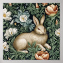 Suche nach hase poster Kaninchen