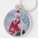 Suche nach sankt helfer Terrier