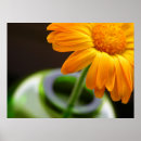 Suche nach anordnung poster Blume