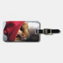 Suche nach katze gepäckanhänger Süß