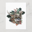 Suche nach weimaraner postkarten Geweih