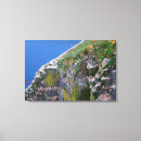Suche nach seevogel leinwandbilder Kanada