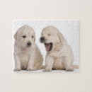 Suche nach golden retriever spielzeug spiele Tiere