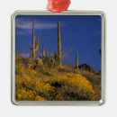 Suche nach blühende bäume ornamente Blume