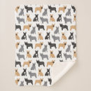 Suche nach französische bulldogge decken Haustiere