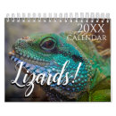 Suche nach mein gecko kalender Leguan
