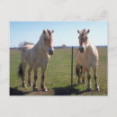 Suche nach fjorde postkarten Pferde