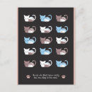 Suche nach cate postkarten Niedliche katze